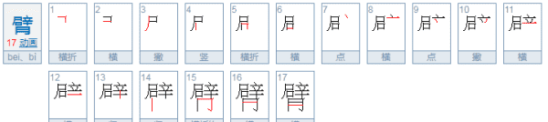 臂的拼音,臂的读音是什么图3