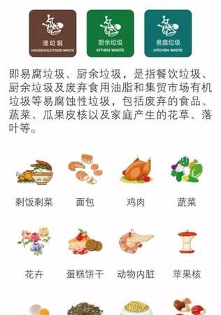 易腐垃圾指什么,以下属于易腐垃圾的是什么