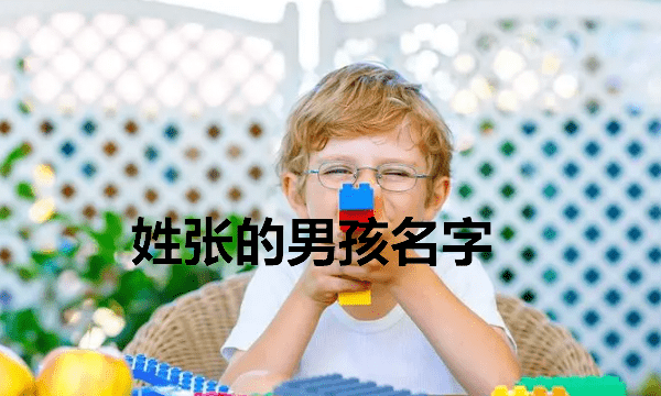 张什么名字好听男孩的,姓张的男孩名字图3