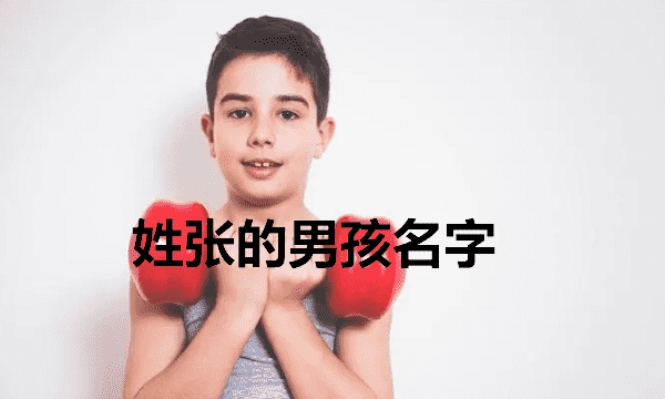 张什么名字好听男孩的,姓张的男孩名字图5