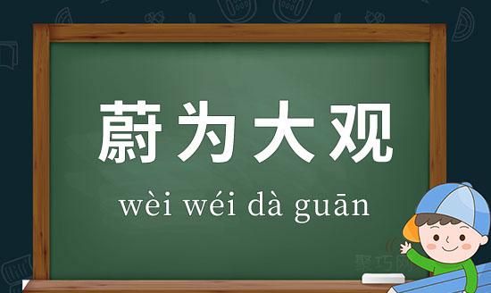 蔚为大观的观是什么意思,蔚为大观是指什么生肖图2