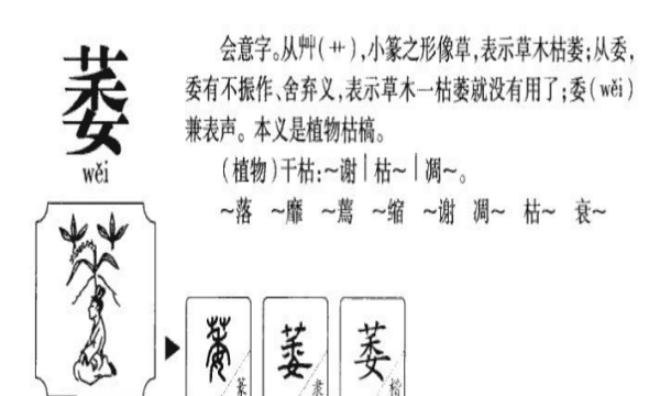 萎的部首,萎组词和部首和拼音图2