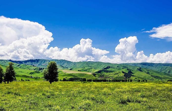 世界四大草原是哪几个,世界上的四大草原分别是哪几个图7