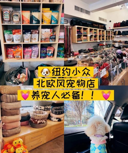 宠物用品店利润怎么样,宠物店一年利润怎么样北京图1