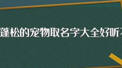 好听的宠物名字大全有寓意,狗狗名字有寓意有深度知乎