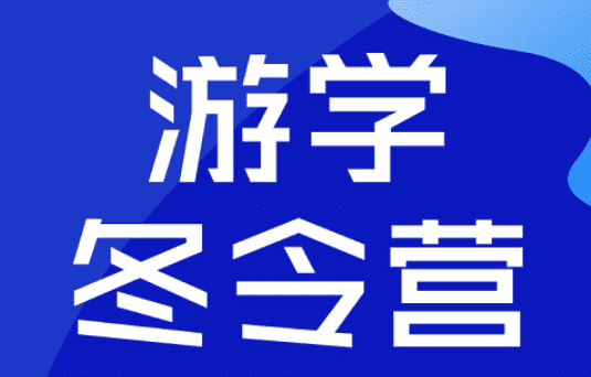 到国外游学是什么意思,游学是什么意思