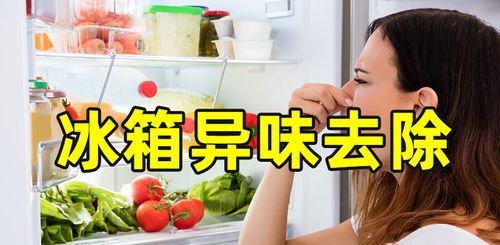 冰箱长时间不用有异味怎么办,冰箱长期不用有异味怎么去除图4