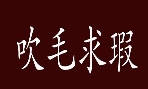 吹毛疵的意思,吹毛裘皮的意思是什么图3