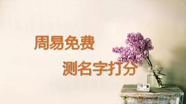 宝宝取名测试打分大全,名字测试打分取名图4