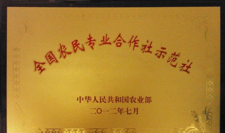 农民专业合作社属于什么企业类型,农民专业合作社属于什么企业类型银行开户图2