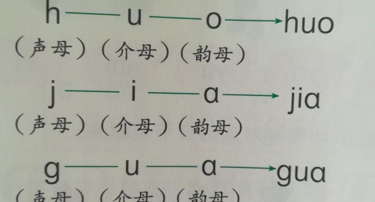 见的拼音是三拼音节吗,...月哪些是整体认读音节哪些是两拼音节哪些事三拼音节图4