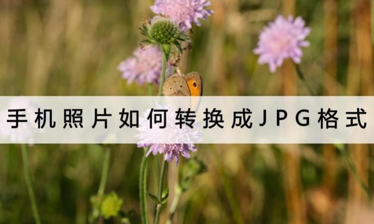 jpg怎么转raw,松下raw格式怎么设置