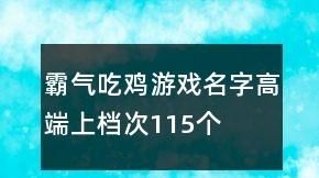 吃鸡游戏名字大全霸气的,吃鸡起什么名字好听又霸气男生图2