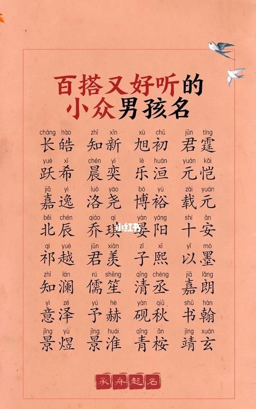 双胞胎男孩洋气的名字,女孩儿双胞胎起名取名字大全图3