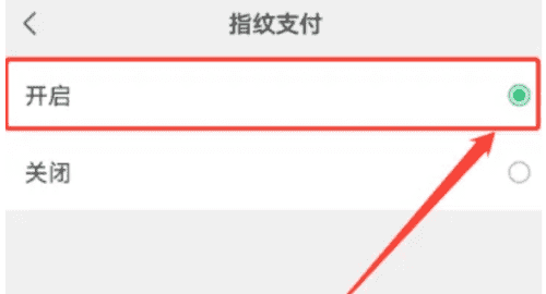 华为手机微信怎么指纹支付,微信怎么设置指纹支付图5