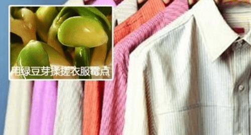 校服发霉怎么洗掉黑斑，白色校服发霉了怎么办图8