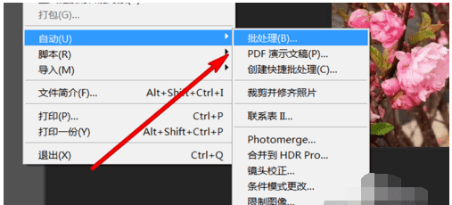 怎么用ps批量转换格式,ps如何批量转化格式图9