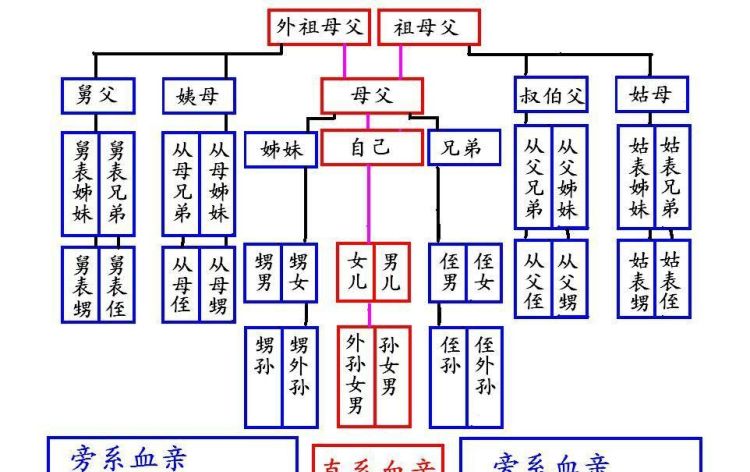 我国禁止近亲结婚的原因是什么,我国禁止近亲结婚的原因是什么图3