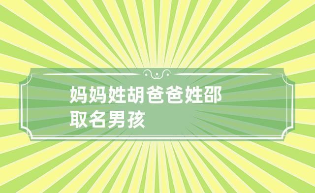 姓胡取名在95分以上,姓胡的男孩名字什么好听图2