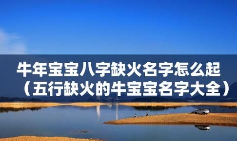 牛年宝宝名字测分,宝宝免费取名打分图4