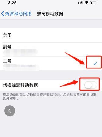 苹果手机iphone 双卡怎么切换,苹果手机双卡怎么设置主副卡名称图6