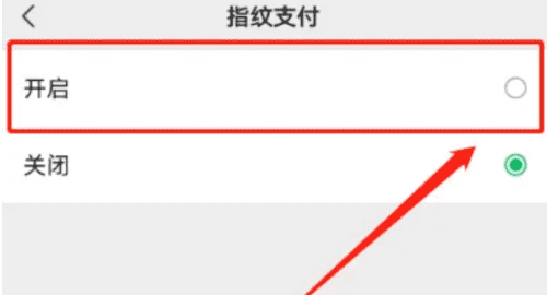 华为手机微信怎么指纹支付，微信怎么设置指纹支付密码怎么设置图3