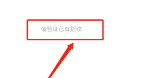 华为手机微信怎么指纹支付，微信怎么设置指纹支付密码怎么设置图4