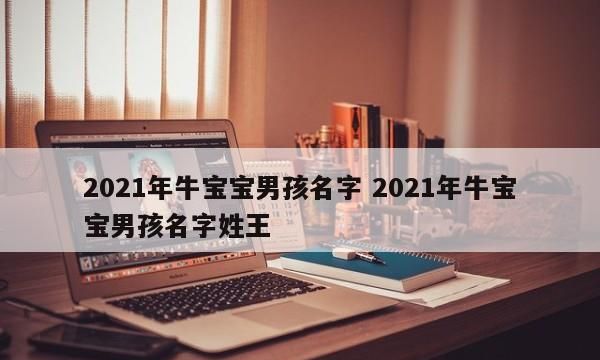 牛宝宝男孩名字,202属牛男孩最吉利的名字是什么图4