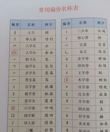 是的部首,思字偏旁部首是什么图2