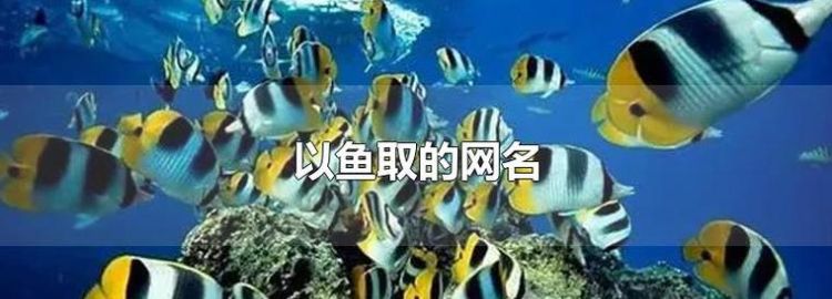 幽默的钓鱼网名大全,取个钓鱼网名姓王的名字图2