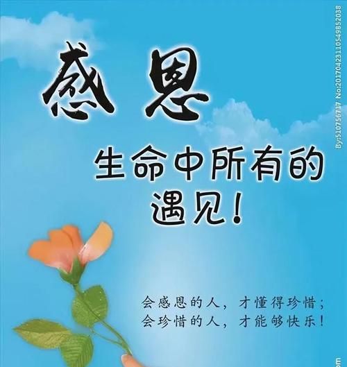 感恩正能量语录短语,懂得感恩的正能量句子50字