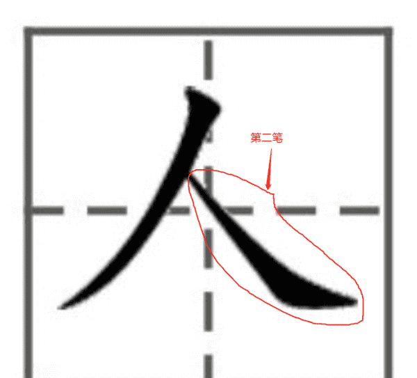 人的笔顺正确写法田字格,人字笔画顺序田字格图5