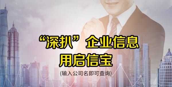 启信宝怎么查个人信息,启信宝怎么查个人信息樊春林图3