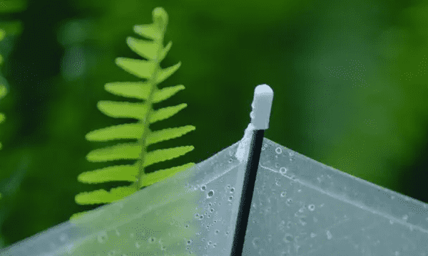 拍摄雨景的8个技巧,下雨天怎么拍摄雨景图1