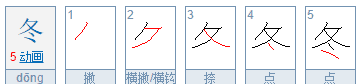 冬的笔顺组词,冬字的笔顺图1