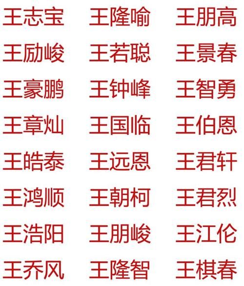 王姓男宝宝00分的好名字,姓王的男孩名字大全图2