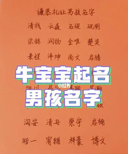 给牛宝宝取名字大全男孩,牛年出生的男孩取什么名字好图4