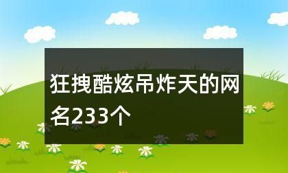 非常吊炸天的网名,炫酷狂拽吊炸天的个性游戏网名女生图1