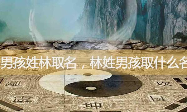 林姓取名字大全男孩,林姓男孩名字大全洋气图3