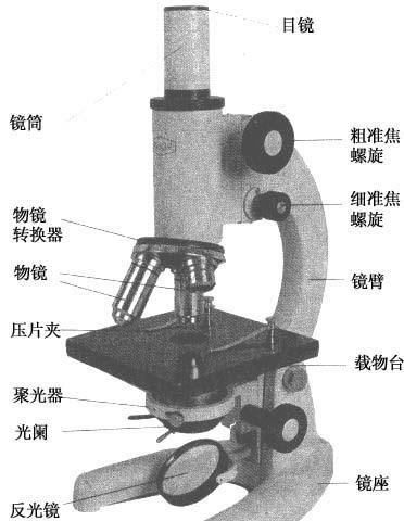 镜头的放大倍数怎么看,显微镜目镜和物镜放大倍数的乘积是指什么