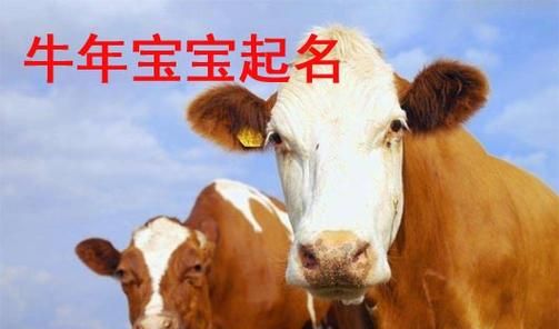 牛年男宝宝名字大全,牛宝宝起名字大全男孩 吉利且好听的男孩名字