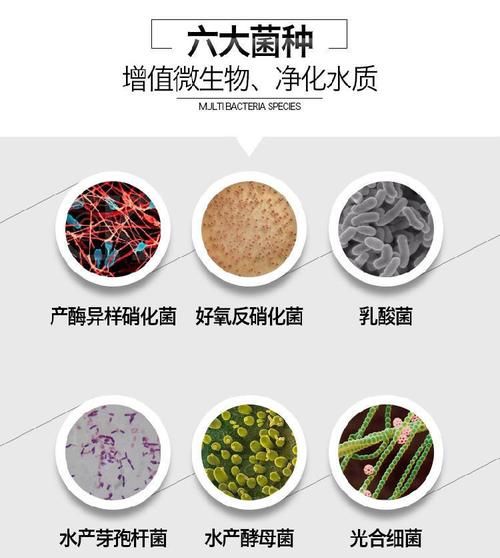 用酸奶怎么养硝化细菌,鱼缸里如何培养硝化细菌图2