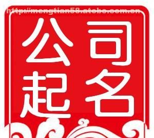 起名公司怎么起名,想注册一个公司怎么起名字图5