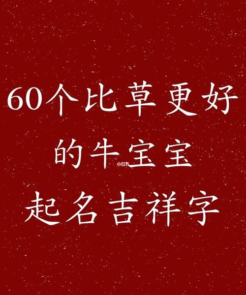 新生儿取什么名字好听,新生儿的名字怎么起图3