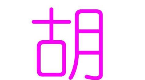 胡姓可以打00分的名字,胡姓起名简单大方图5