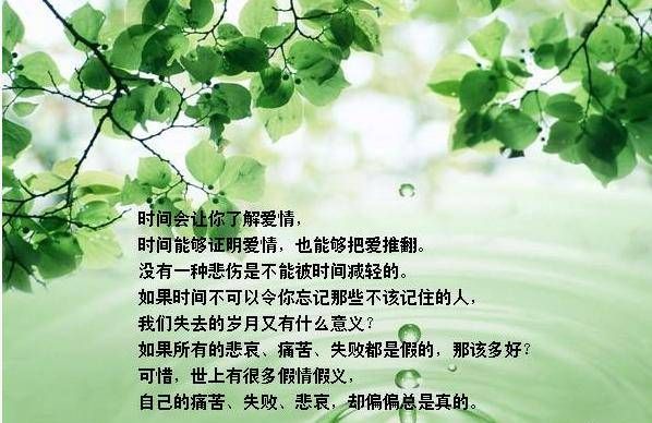 关于森林爱情的句子,挪威的森林表白的句子在好多页图4