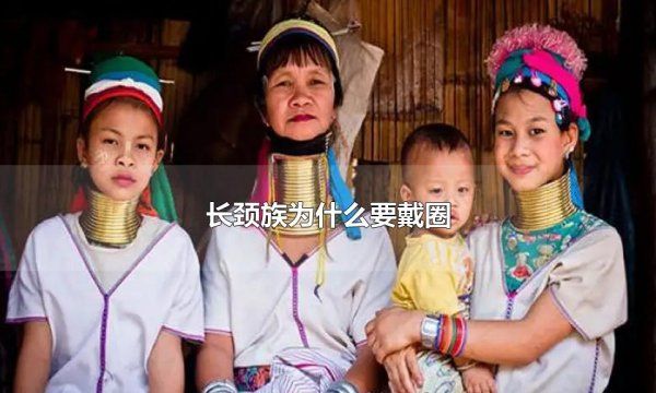 脖子上戴的项圈叫什么民族,脖子套铁圈是什么族图2