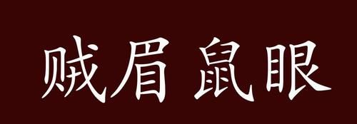 贼眉鼠眼的贼眉是指什么,贼眉鼠眼 的意思是什么图3