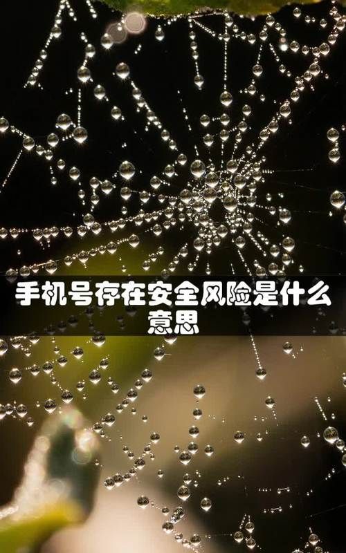 安全手机是什么意思,手机安全模式是什么意思