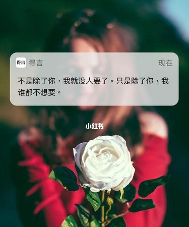 关于520的情感语录,520情人节语录浪漫简短图3